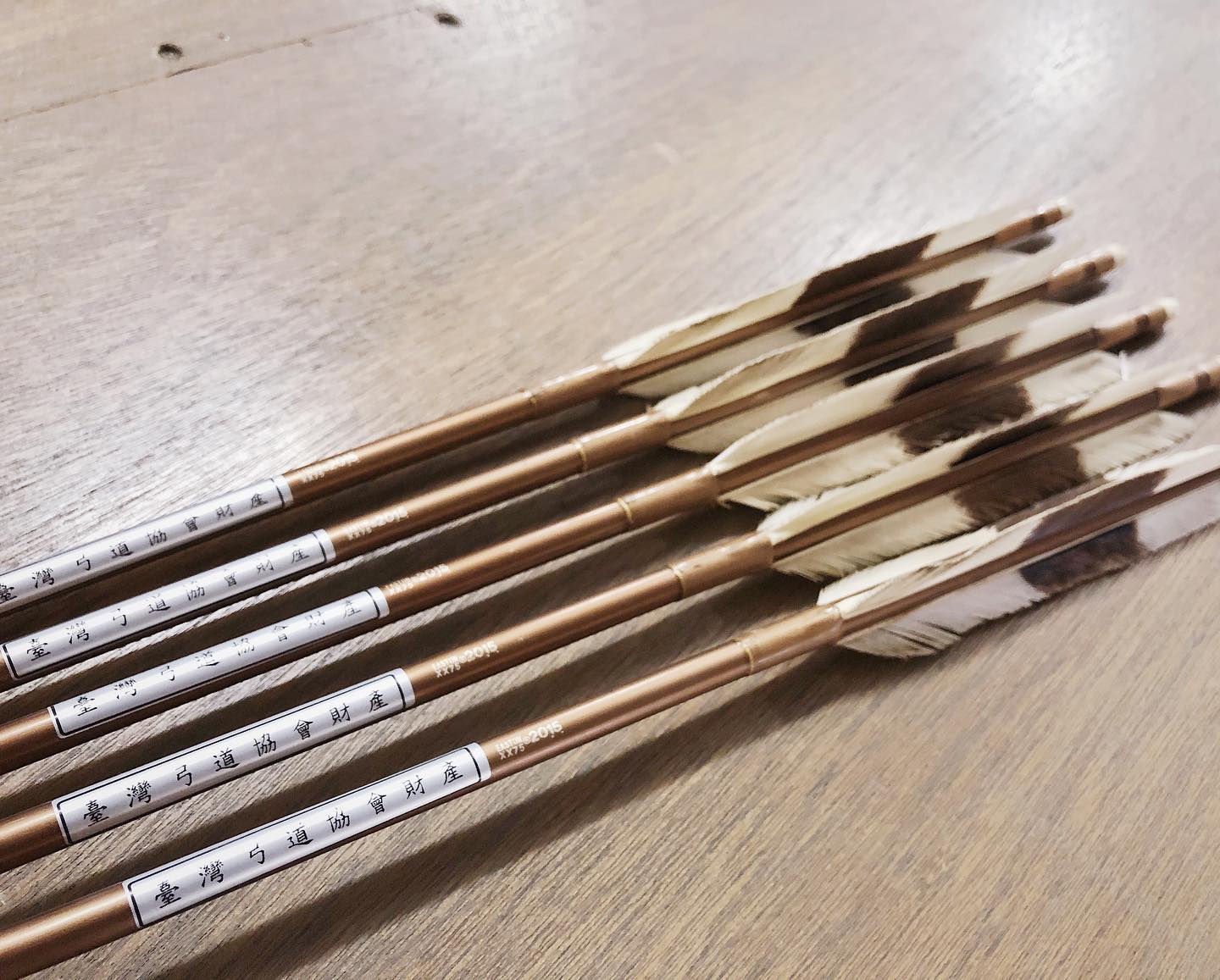 Egal welche Pfeile Sie kaufen — pflegen Sie sie gut.
